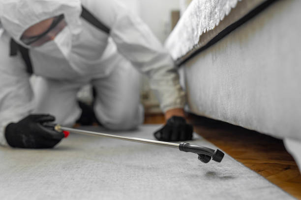 Professional Cockroach Control technician working in Cleveland, WI